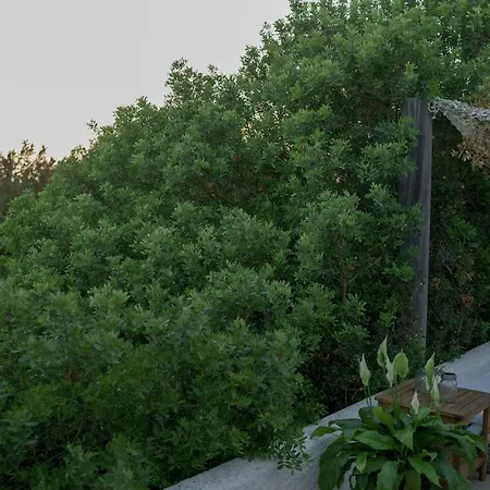 Casa Armonia Villa